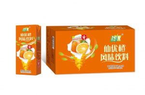 戰(zhàn)燃仙優(yōu)橙風味飲料